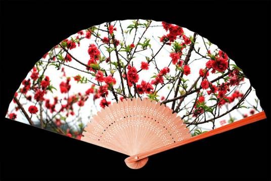 桃花扇（2008年金盾出版社出版的图书）