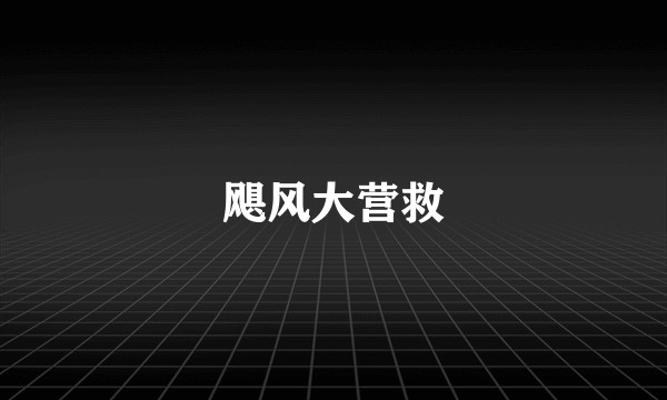 飓风大营救