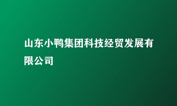 山东小鸭集团科技经贸发展有限公司