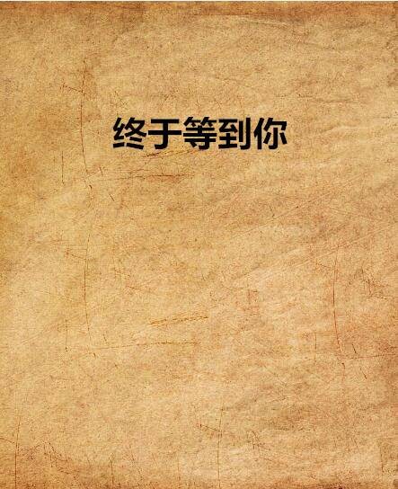 终于等到你(书丛网小说)
