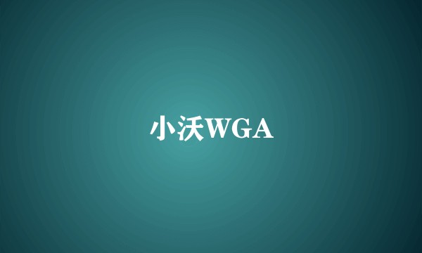 小沃WGA