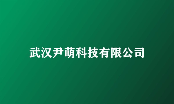 武汉尹萌科技有限公司