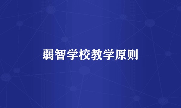弱智学校教学原则