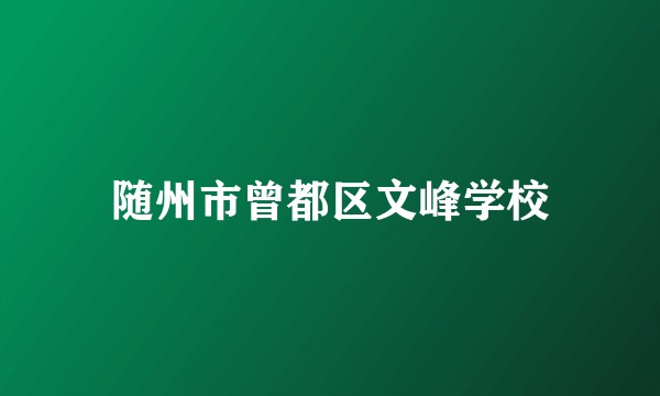 随州市曾都区文峰学校