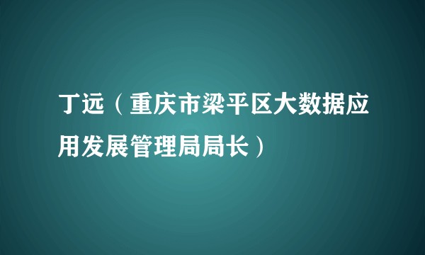 丁远（重庆市梁平区大数据应用发展管理局局长）