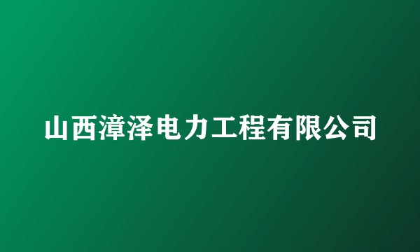 山西漳泽电力工程有限公司
