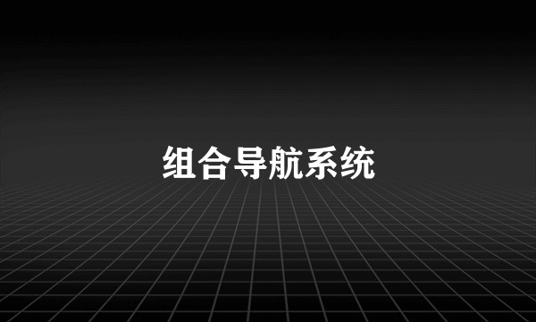 组合导航系统