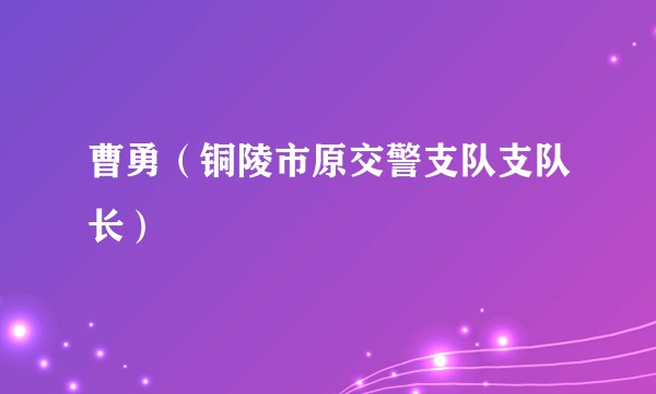 曹勇(铜陵市原交警支队支队长)