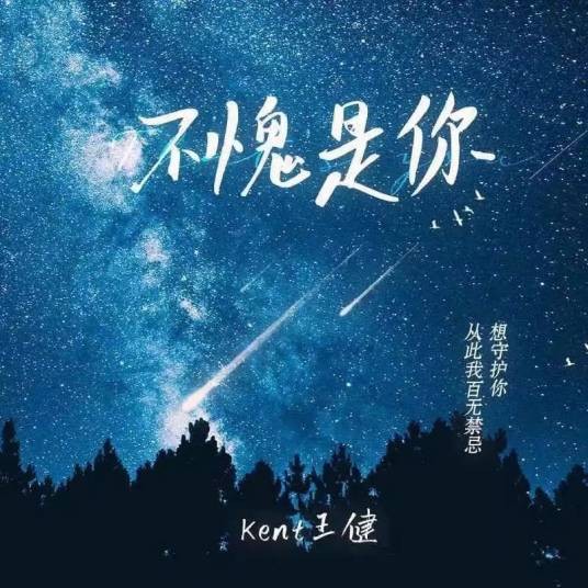 不愧是你（Kent王健演唱的歌曲）