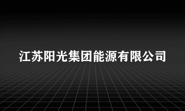 江苏阳光集团能源有限公司