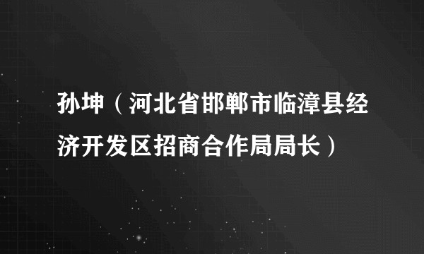 孙坤(河北省邯郸市临漳县经济开发区招商合作局局长)