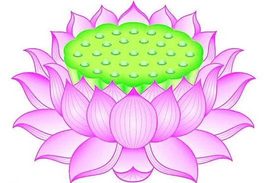 莲花座