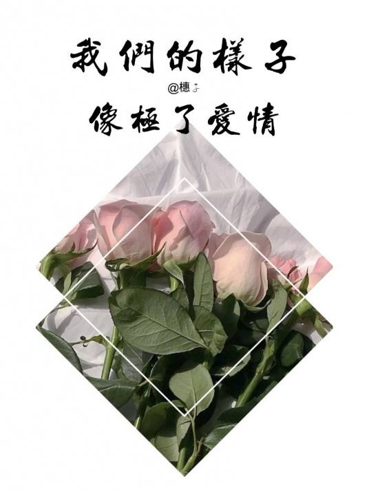我们的样子·像极了爱情