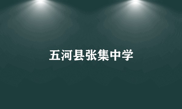 五河县张集中学