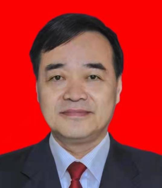 陈政(湖北省咸宁市咸安区政协党组副书记、副主席)
