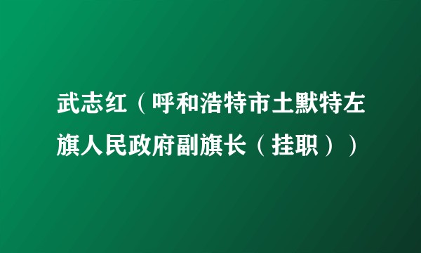 武志红（呼和浩特市土默特左旗人民政府副旗长（挂职））