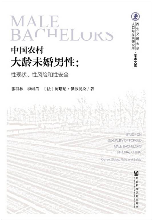 中国农村大龄未婚男性