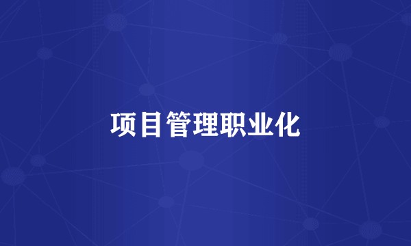 项目管理职业化