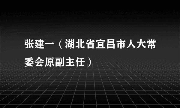 张建一（湖北省宜昌市人大常委会原副主任）
