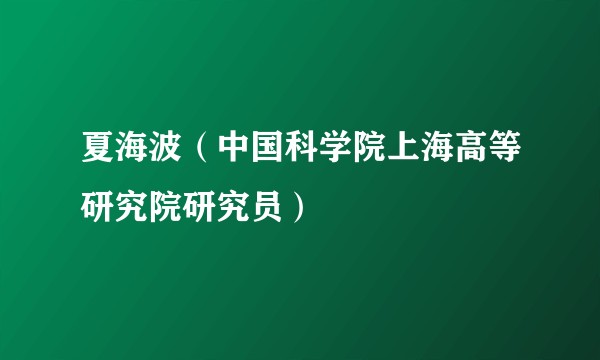 夏海波（中国科学院上海高等研究院研究员）