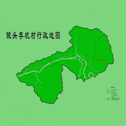 李坑村（广东连平县陂头镇李坑村）