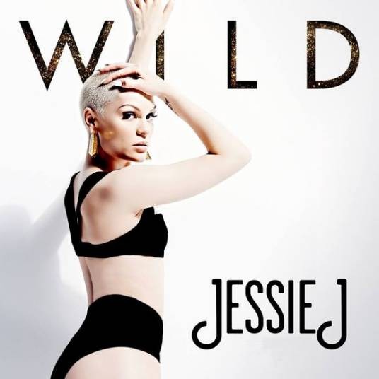 wild（JessieJ单曲）