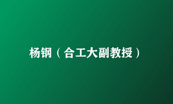 杨钢（合工大副教授）