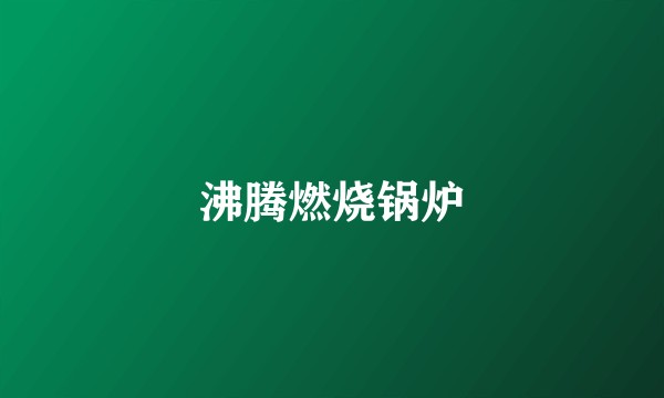 沸腾燃烧锅炉