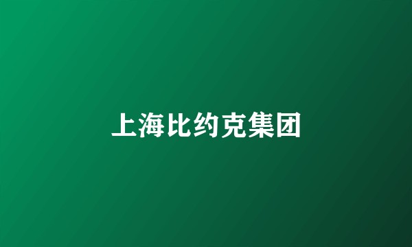上海比约克集团