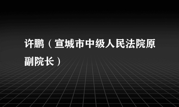 许鹏(宣城市中级人民法院原副院长)