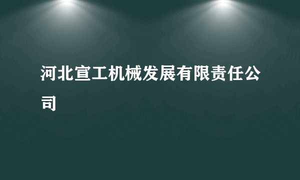 河北宣工机械发展有限责任公司