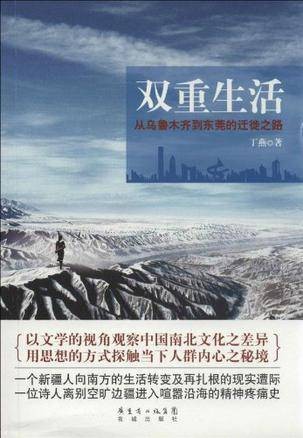 双重生活(2013年花城出版社出版的图书)