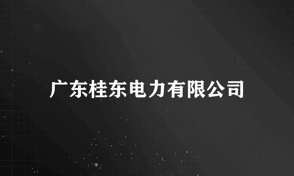广东桂东电力有限公司