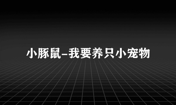 小豚鼠-我要养只小宠物