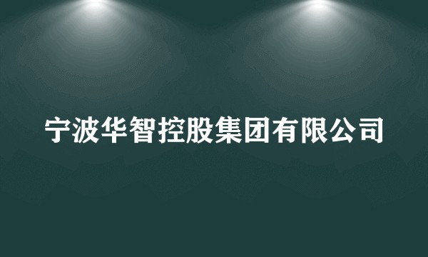 宁波华智控股集团有限公司