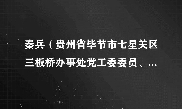 秦兵(贵州省毕节市七星关区三板桥办事处党工委委员、副主任)