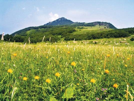 门头沟百花山自然风景区
