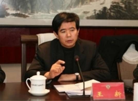 王新(北京市大兴区原政协主席)
