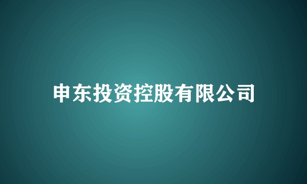 申东投资控股有限公司