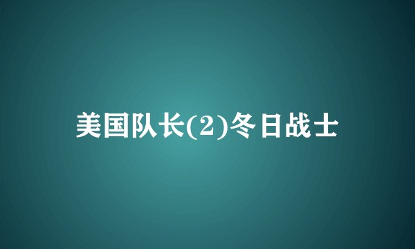 美国队长(2)冬日战士