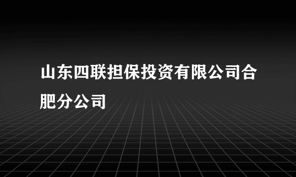 山东四联担保投资有限公司合肥分公司