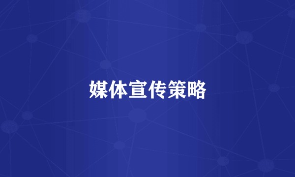 媒体宣传策略