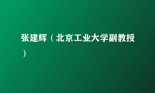 张建辉(北京工业大学副教授)