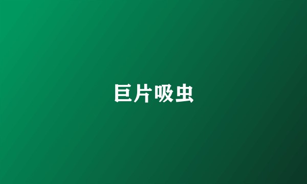 巨片吸虫