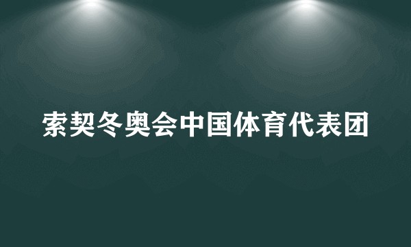 索契冬奥会中国体育代表团