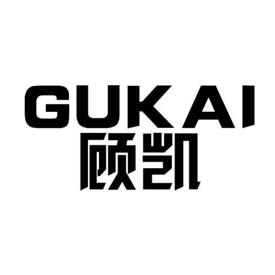 顾凯(天津数码产品品牌)