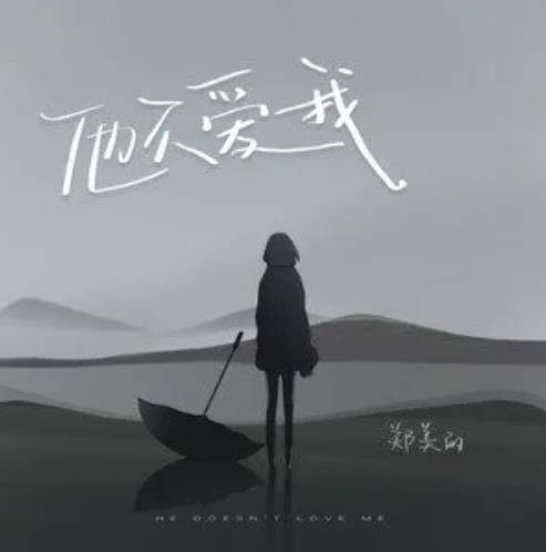 他不爱我（郑美丽演唱歌曲）
