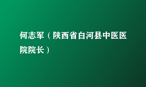 何志军(陕西省白河县中医医院院长)