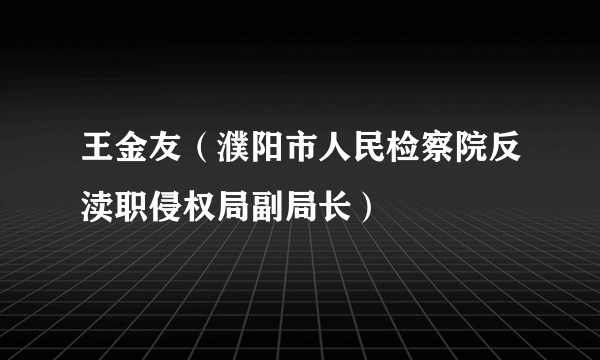 王金友（濮阳市人民检察院反渎职侵权局副局长）