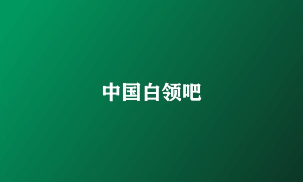 中国白领吧